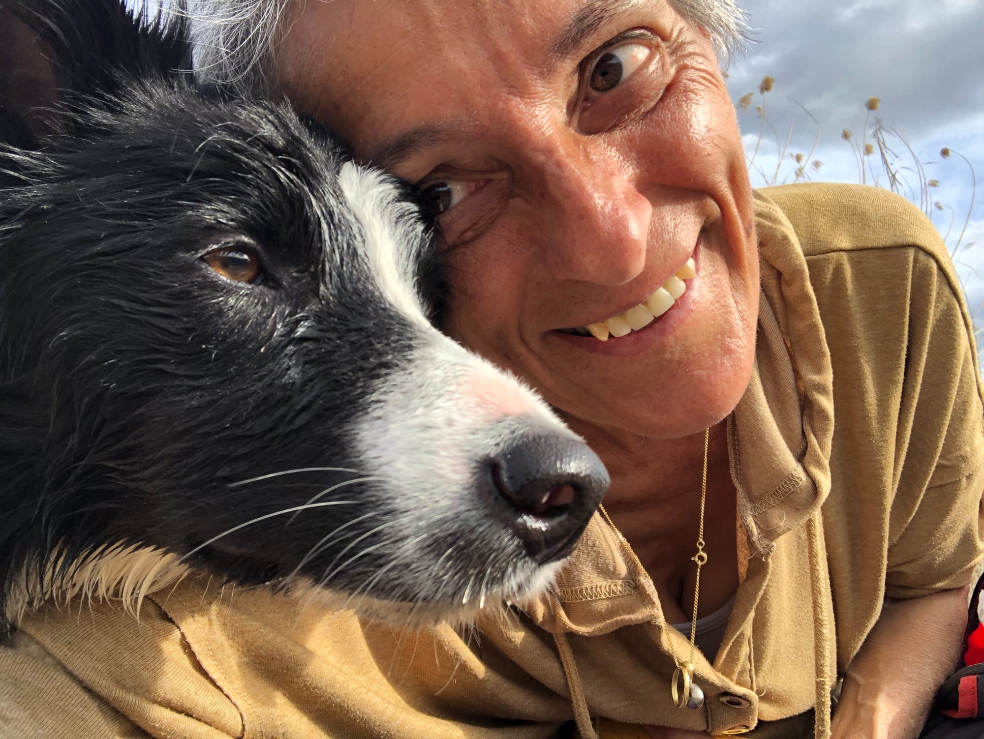 VOYAGER DANS UN LIVRE