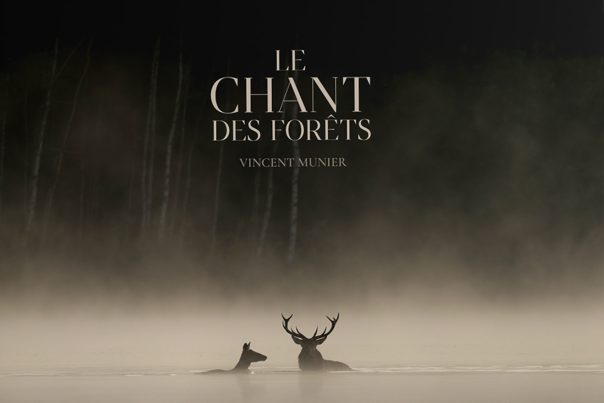 L’affût de soi-même