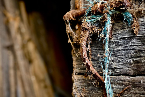 Apprendre à habiter le monde : mon retour à l'essentiel