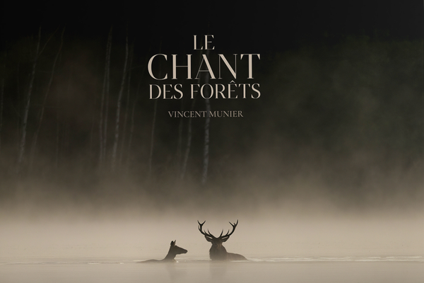 L’affût de soi-même